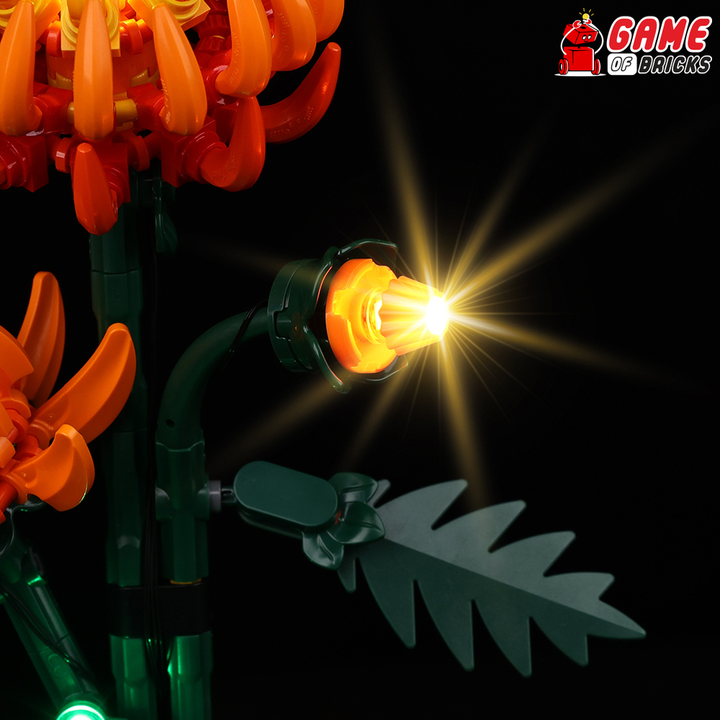 LEGO Chrysanthemum 10368 Light Kit