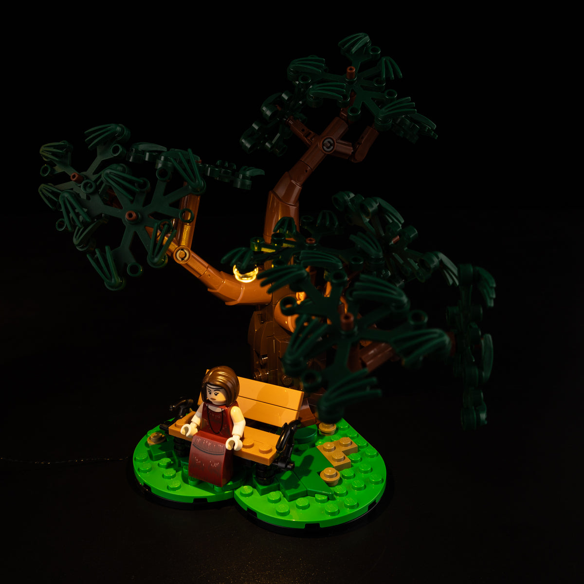 Cedar tree and bench under small warm branch lights