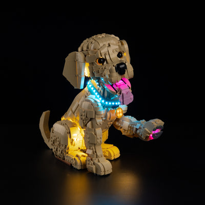 Light Kit for LEGO® Golden Retriever Puppy 11384