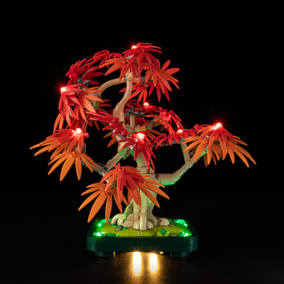 Light Kit for Japanese Red Maple Bonsai Tree 10348