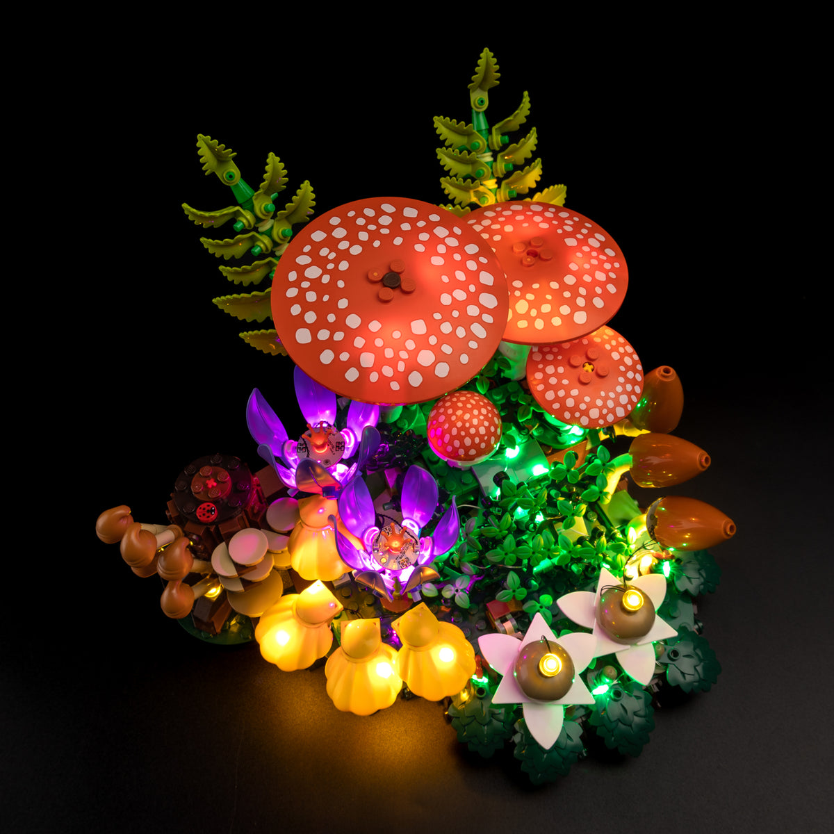 Real overhead product photograph of the illuminated red mushroom caps, purple crocuses and foliage in LEGO Woodland Mushrooms.